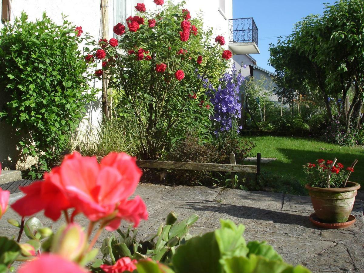 Gite Loca Provenchere Exteriör bild